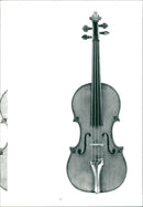 Musical instruments violine: - Vintage Photograph