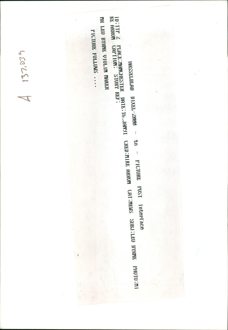 Musical instruments violine: - Vintage Photograph