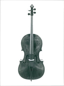 Musical instruments violine: - Vintage Photograph
