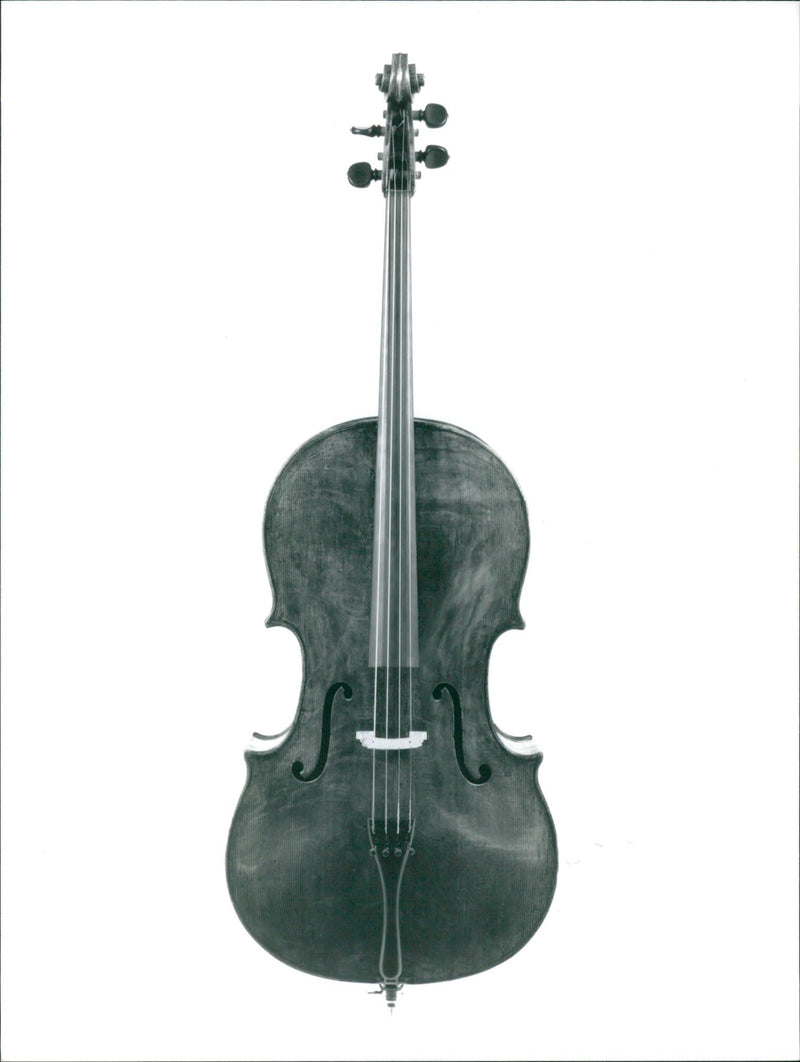 Musical instruments violine: - Vintage Photograph
