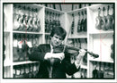 Musical instruments violine:the collections of eight violins - Vintage Photograph
