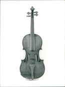 Musical instruments violine: the colossus - Vintage Photograph