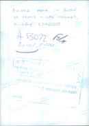 Murder of James Bulger. - Vintage Photograph