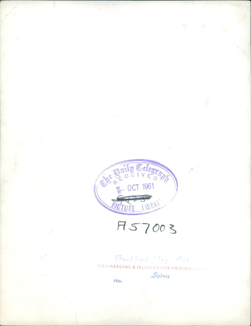 Sydney Bahá'í - Vintage Photograph