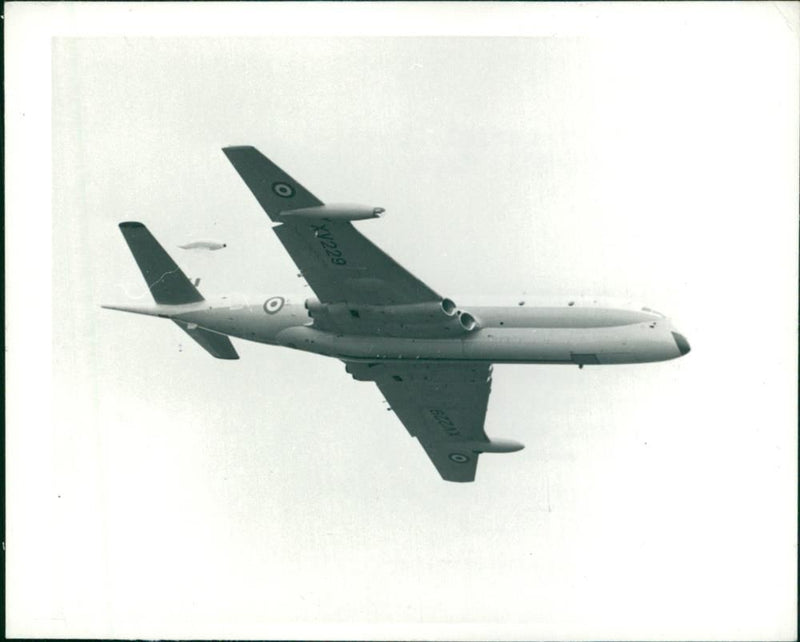 Aircraft Nimrod - Vintage Photograph