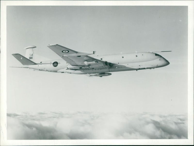 Aircraft Nimrod - Vintage Photograph