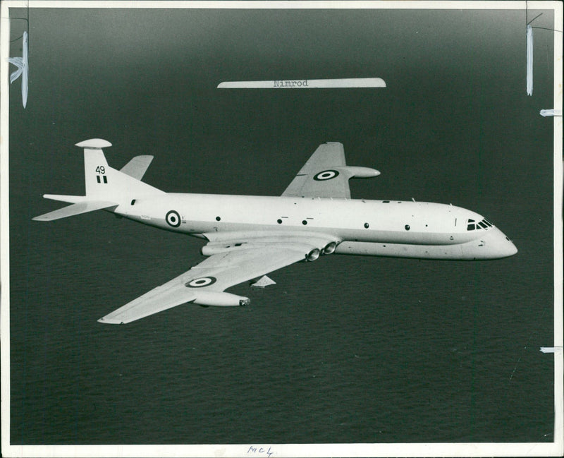 Aircraft Nimrod - Vintage Photograph