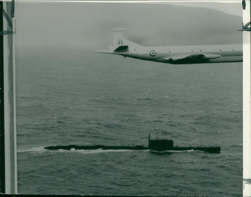 Aircraft Nimrod - Vintage Photograph