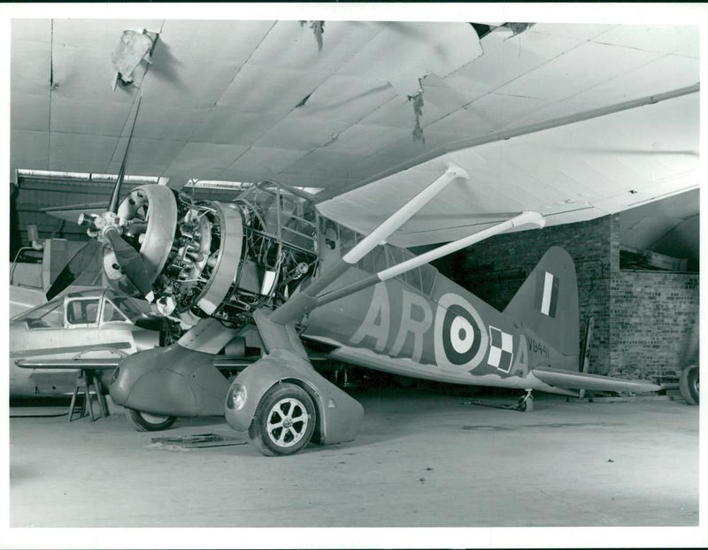 Lysander - Vintage Photograph