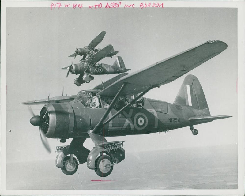 Lysander - Vintage Photograph