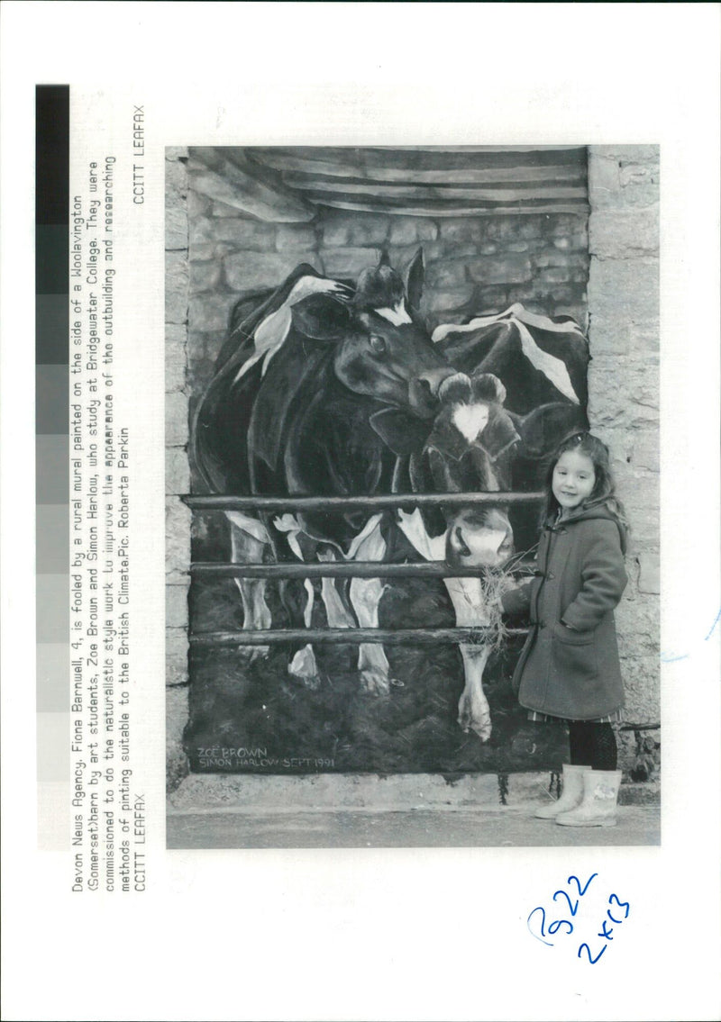 Animal , Cattle:Fiona Barnwell with a rural mural painting. - Vintage Photograph