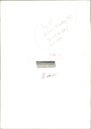 Animal , Cattle: Cultural and food research council. - Vintage Photograph