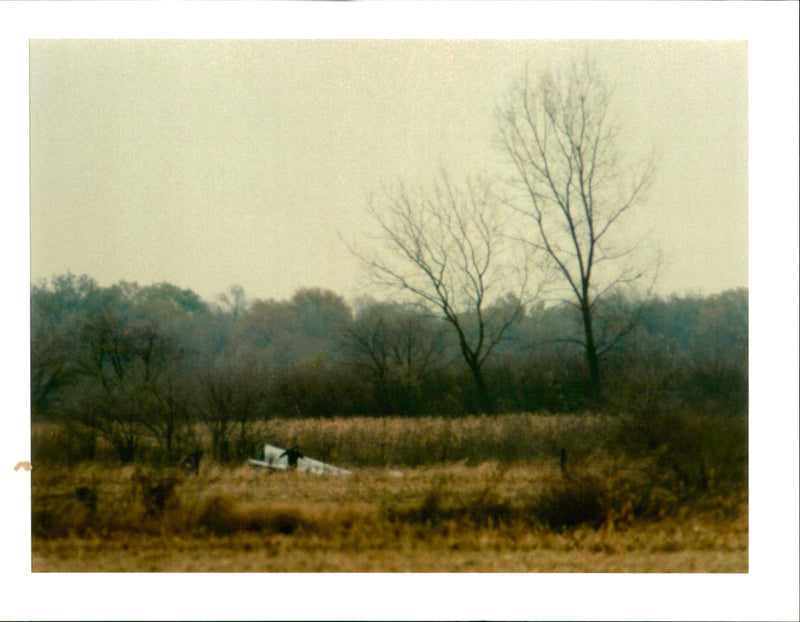 Official look over the scene in a field near roselawn. - Vintage Photograph