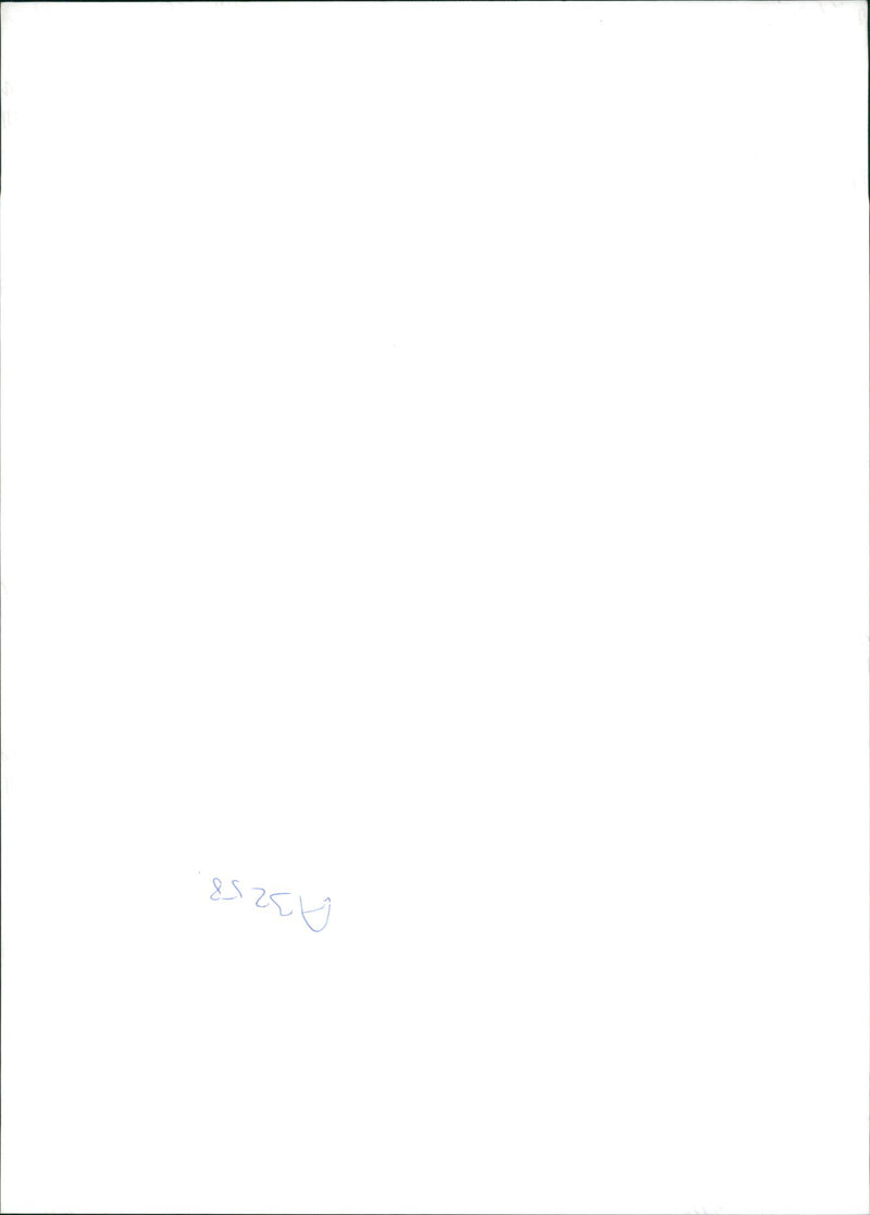 Rhubarb - Vintage Photograph