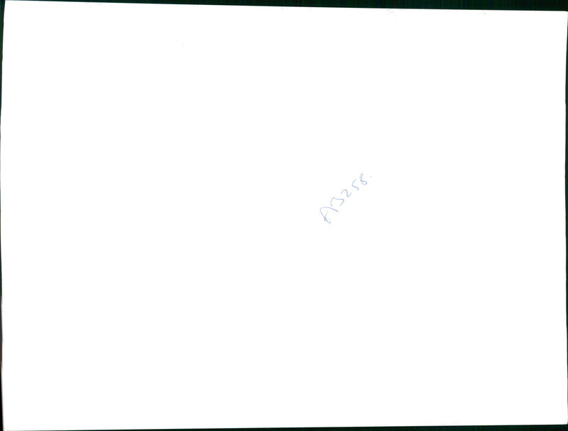 Rhubarb - Vintage Photograph