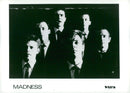 English music group Madness. - Vintage Photograph