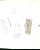 R.A.F dog: raf debden a guard dog. - Vintage Photograph