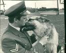 R.A.F dog: raf debden a guard dog. - Vintage Photograph