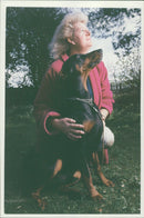 dogs doberman: - Vintage Photograph