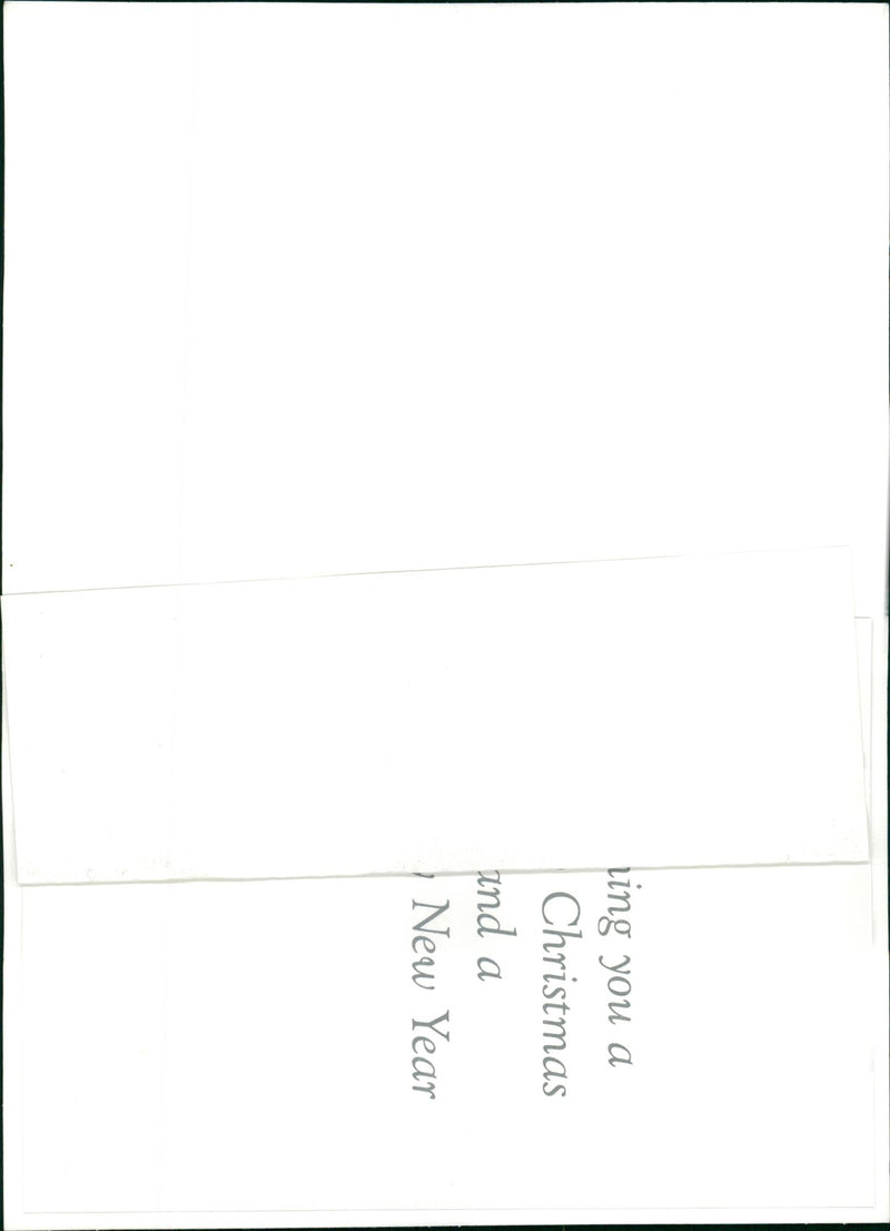 dogs doberman: - Vintage Photograph