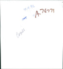 Cherie Lunghi Film actress. - Vintage Photograph