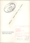 Cherie Lunghi Film actress. - Vintage Photograph