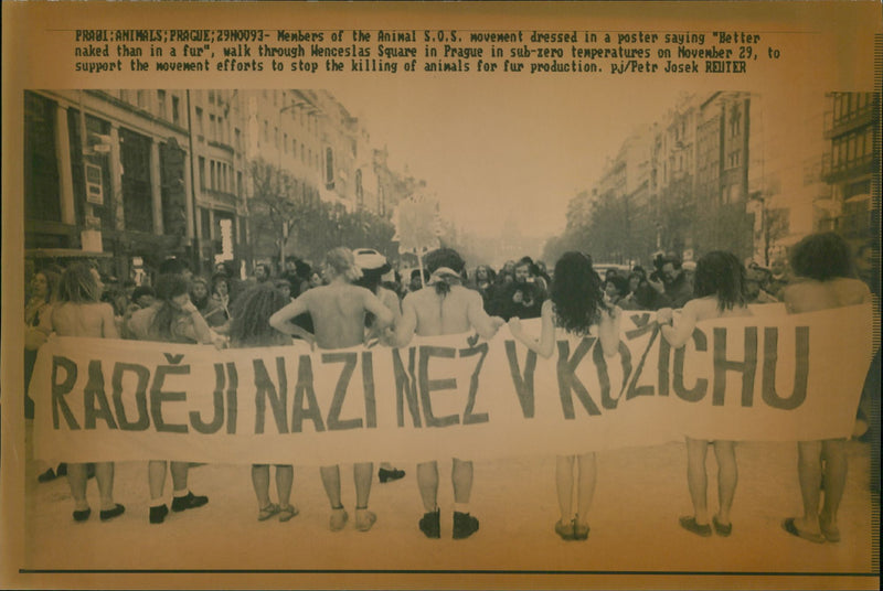 Czechoslovakia Demo:Members of the Animals S.O.S. - Vintage Photograph