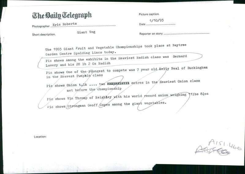 Vegetable Food:Bernard Lavery with his 28 lb Radish. - Vintage Photograph