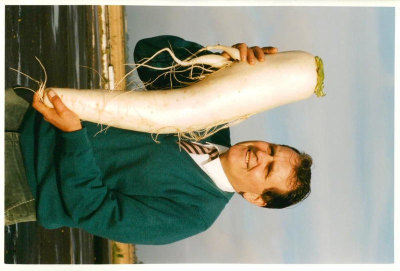 Vegetable Food:Bernard Lavery with his 28 lb Radish. - Vintage Photograph