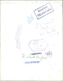 Richard Hughes (British writer) - Vintage Photograph