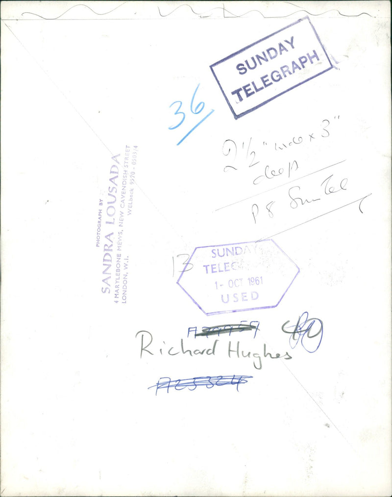 Richard Hughes (British writer) - Vintage Photograph