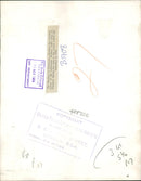 Duchess of Gloucester Royal title. - Vintage Photograph