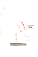 Queen Elizabeth The Queen Mother. - Vintage Photograph