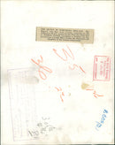 Elizabeth II with Caragh Mary Coote. - Vintage Photograph