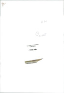 Princess Anne, daughter of Queen Elizabeth II - Vintage Photograph