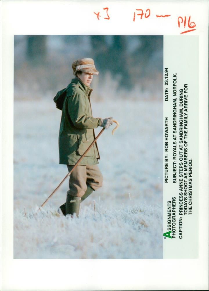 Princess Anne, daughter of Queen Elizabeth II - Vintage Photograph