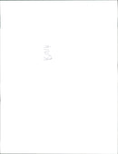 Princess Anne, daughter of Queen Elizabeth II - Vintage Photograph