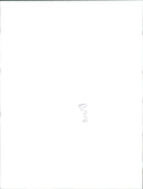 Princess Anne, daughter of Queen Elizabeth II - Vintage Photograph