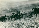 Irish Civil War:Examining the Wreckage. - Vintage Photograph