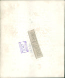 Irish Civil War:Men Of the Royal. - Vintage Photograph