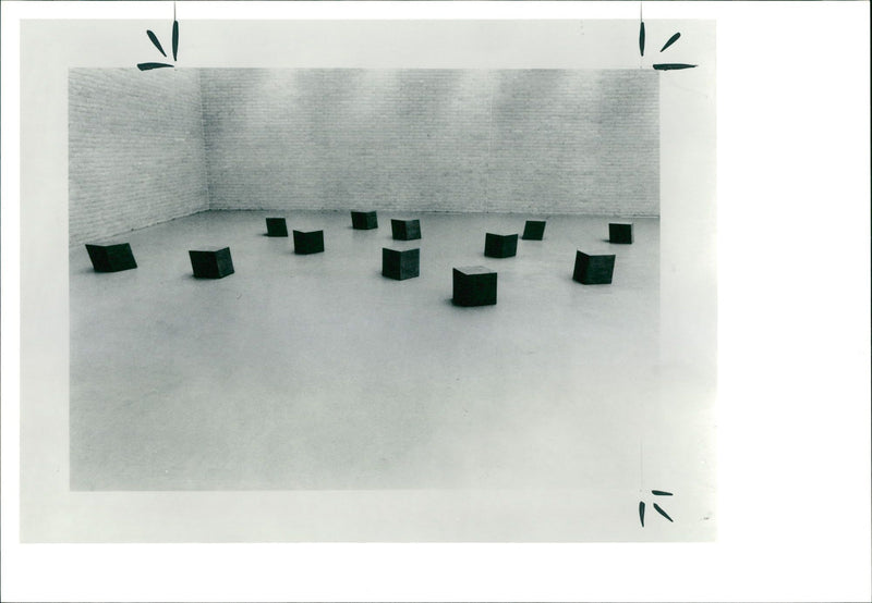 Nauman: Diamond Mind II. - Vintage Photograph