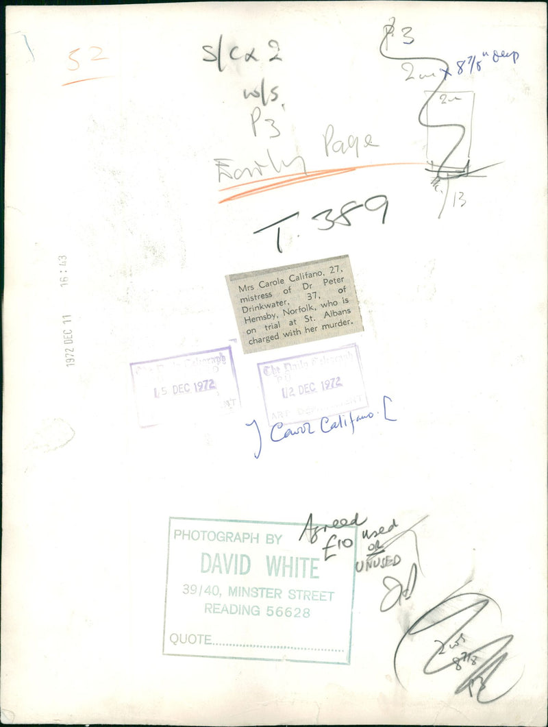 Murdered and Missing Persons: mrs. carol califano. - Vintage Photograph