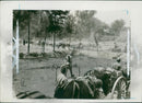 Sino-Japanese War: - Vintage Photograph