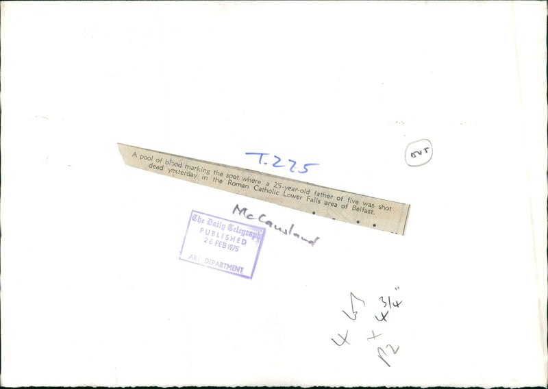 the Ireland civil rights 1975:a pool of blood marking the spot where a 25 years old ... - Vintage Photograph