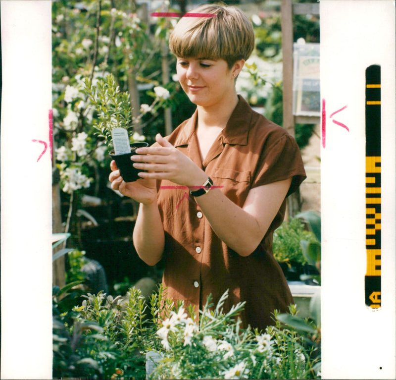 Gardening centers - Vintage Photograph