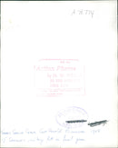 J. Sherlock. - Vintage Photograph