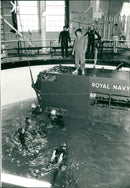 Royal navy Daedalus - Vintage Photograph