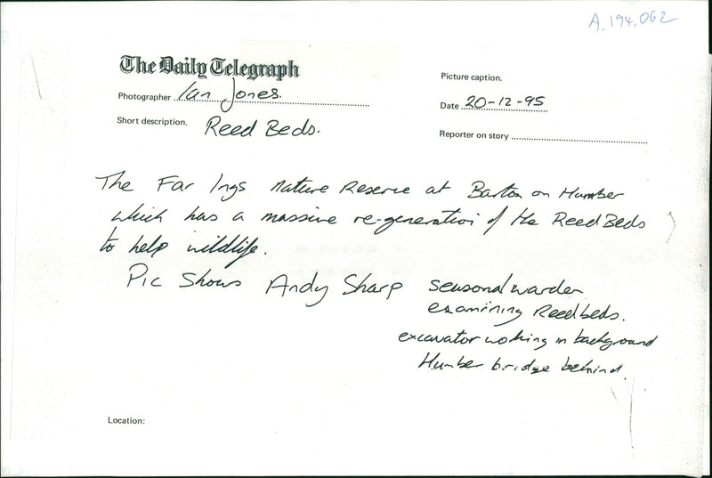 Reed bed the far lang nature. - Vintage Photograph