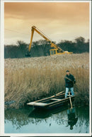 Reed bed the far lang nature. - Vintage Photograph
