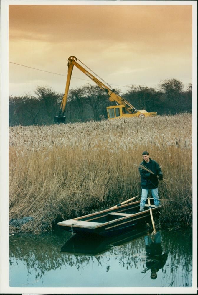 Reed bed the far lang nature. - Vintage Photograph